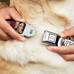 THE NUN Text Logo Full Color White/Grays Seatbelt Buckle Collar - THE NUN Sister Irene Poses Collage