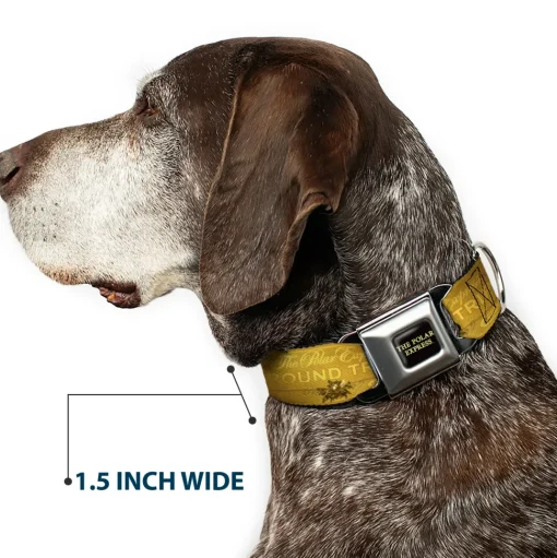THE POLAR EXPRESS Text Logo Full Color Black/Golds Seatbelt Buckle Collar - THE POLAR EXPRESS ROUND TRIP Ticket Black/Golds