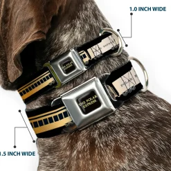THE POLAR EXPRESS Text Logo Full Color Black/Golds Seatbelt Buckle Collar - POLAR EXPRESS Train Cars Black/Golds