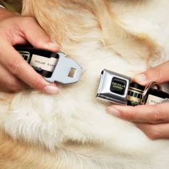 THE POLAR EXPRESS Text Logo Full Color Black/Golds Seatbelt Buckle Collar - POLAR EXPRESS Train Cars Black/Golds