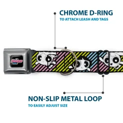 THE POWERPUFF GIRLS Animated Series Title Logo Full Color Black Seatbelt Buckle Collar - The Powerpuff Girls and Donny Stripe Black/Multi Pastel