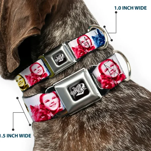 THE WIZARD OF OZ Title Logo Full Color Black/White Seatbelt Buckle Collar - The Wizard of Oz Dorothy and Toto Pose Blocks Blues/Yellows/Reds