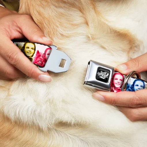 THE WIZARD OF OZ Title Logo Full Color Black/White Seatbelt Buckle Collar - The Wizard of Oz Dorothy and Toto Pose Blocks Blues/Yellows/Reds