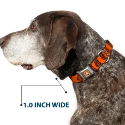 Tigger Face CLOSE-UP Full Color Orange Seatbelt Buckle Collar - Tigger Stripes Orange/Black