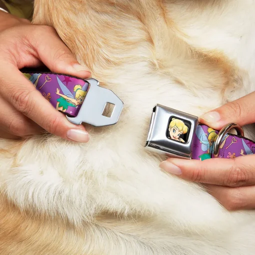 Tinker Bell CLOSE-UP Full Color Seatbelt Buckle Collar - Tinker Bell Poses/Flowers/Stars/Skull Purple