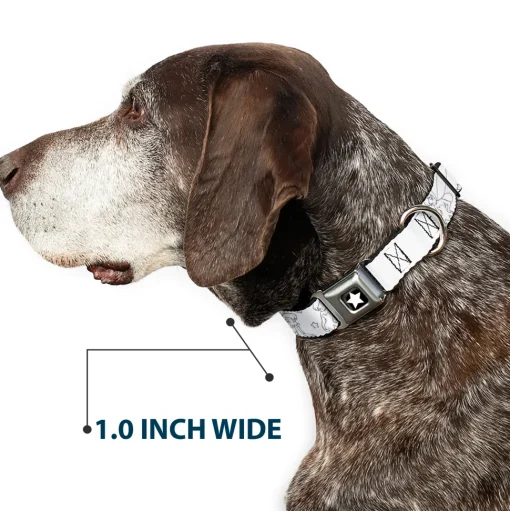 Tinker Bell Star Full Color Black/White Seatbelt Buckle Collar - Tinker Bell Poses/Stars Outline White/Black