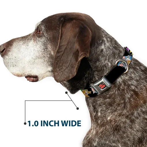 Tom and Jerry Logo Full Color Black Red Seatbelt Buckle Collar - TOM & JERRY Poses Black/Multi Color