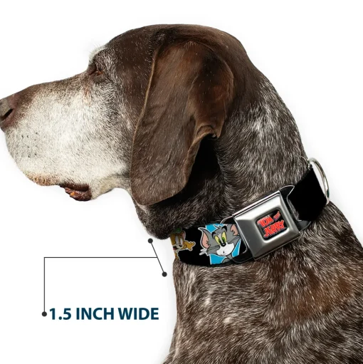 Tom and Jerry Logo Full Color Black Red Seatbelt Buckle Collar - TOM & JERRY Poses Black/Multi Color