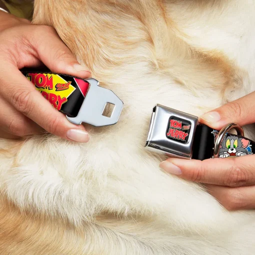 Tom and Jerry Logo Full Color Black Red Seatbelt Buckle Collar - TOM & JERRY Poses Black/Multi Color