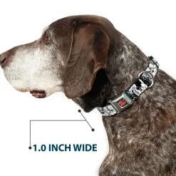 Tom and Jerry Logo Full Color Black Red Seatbelt Buckle Collar - TOM & JERRY Face & Pose Sketch Black/White/Red/Blue