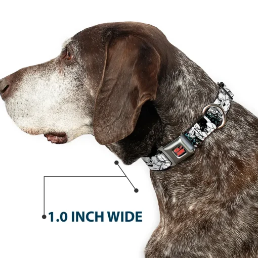 Tom and Jerry Logo Full Color Black Red Seatbelt Buckle Collar - TOM & JERRY Face & Pose Sketch Black/White/Red/Blue