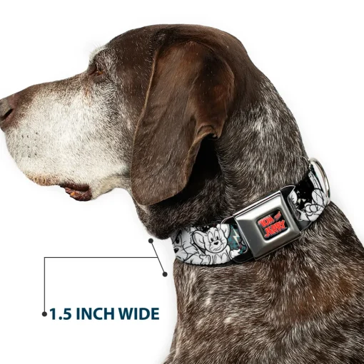 Tom and Jerry Logo Full Color Black Red Seatbelt Buckle Collar - TOM & JERRY Face & Pose Sketch Black/White/Red/Blue
