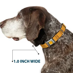 Toy Story Woody Cowboy Buckle Logo Full Color Golds Seatbelt Buckle Collar - Toy Story Woody Bounding Plaid Shirt Gold/Red