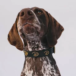 Vegan Leather Dog Collar - Disney Black PU w Gold Cast Signature D Logo Embellishments