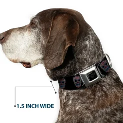 Wonder Woman Black Silver Seatbelt Buckle Collar - Wonder Woman Floral Skull Black/Multi Pastel