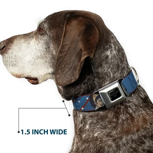 Wonder Woman Logo Black/Silver Seatbelt Buckle Collar - WONDER WOMAN/Bombshell Pose Blue/Red/White