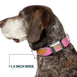 Wonder Woman Logo Pink/Blue/Yellow/Pink Seatbelt Buckle Collar - Wonder Woman Logo Pink/Blue/Yellow/Pink