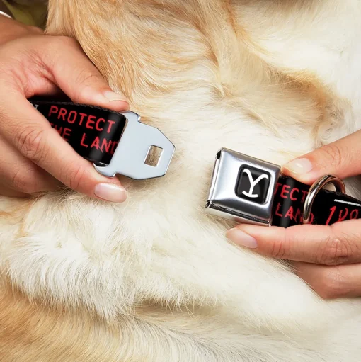 Yellowstone Y Logo Full Color Black/White Seatbelt Buckle Collar - YELLOWSTONE Dutton Ranch 1886 Icons Black/White/Red