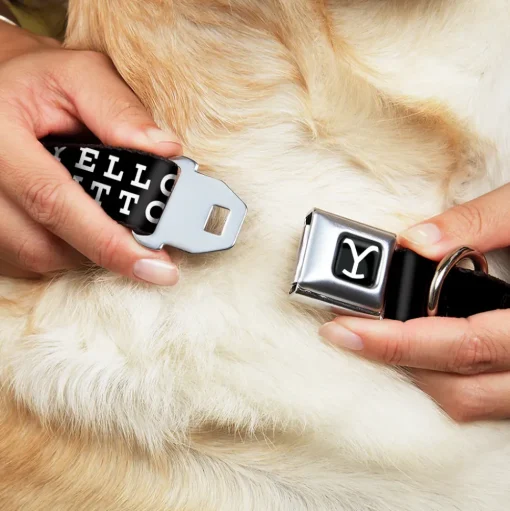 Yellowstone Y Logo Full Color Black/White Seatbelt Buckle Collar - YELLOWSTONE DUTTON RANCH and Logo Black/White