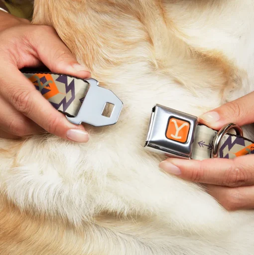 Yellowstone Y Logo Weathered Full Color Orange/Beige Seatbelt Buckle Collar - Yellowstone Y Logo Native American Tribal Tans/Blue/Orange